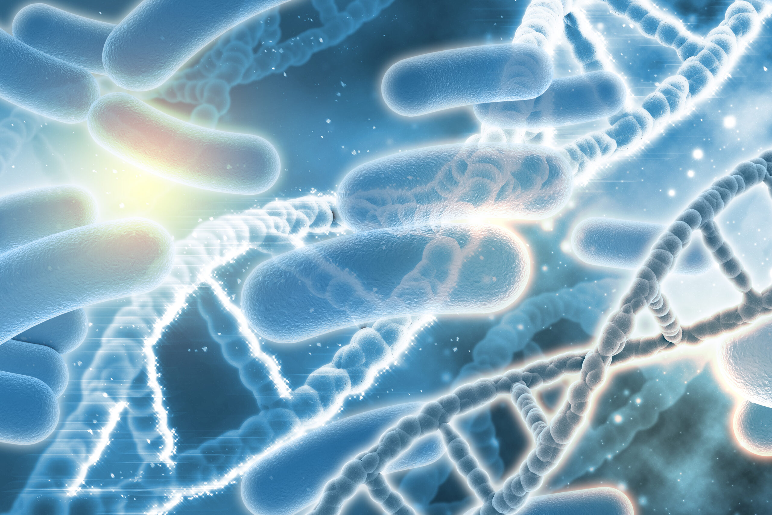 Scopri di più sull'articolo Effetti della Dieta e dell’Esercizio Fisico sul Microbiota Intestinale